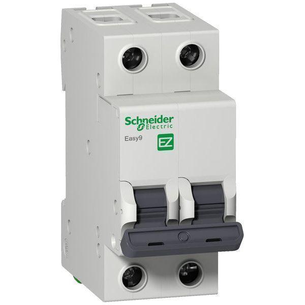 Schneider Circuit Breaker 2P 3KA 32A