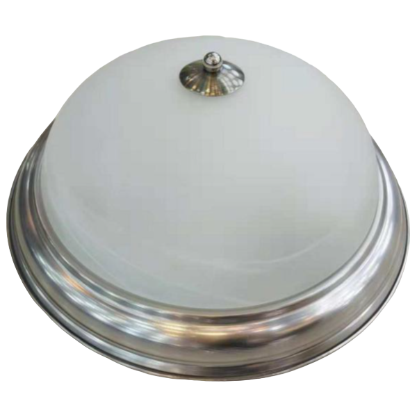 Ceiling Light Opal Silver