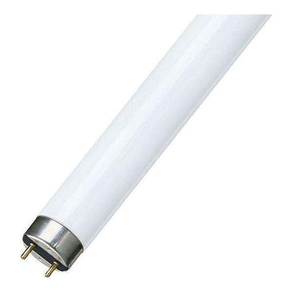 Osram T8 Fluorescent Tube 30W Natura