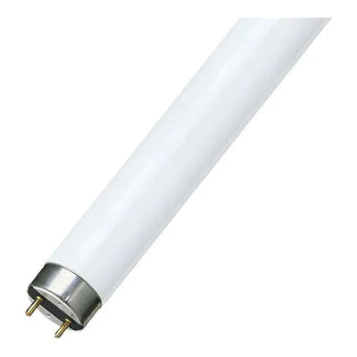 Millenium T8 Fluorescent Tube 36W
