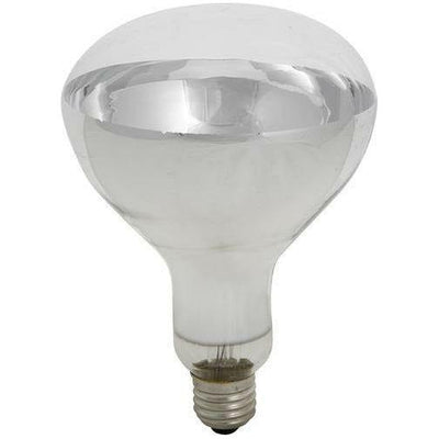 Infrared Heat Lamp G230