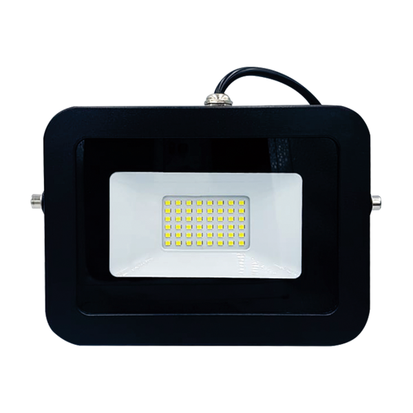 100W LED Flood Light