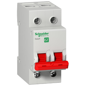Schneider Switch Disconnector 2P 63A