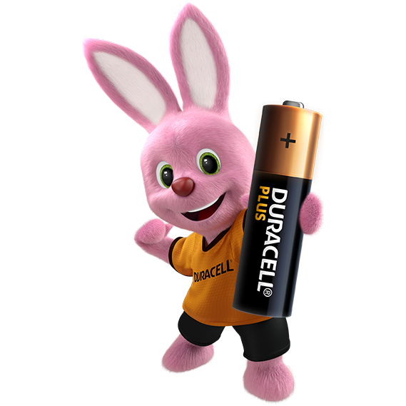 AAA Duracell Alkaline Battery - 4 Pack