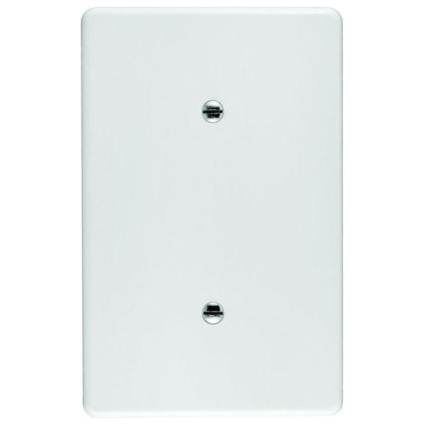 Crabtree Blank Cover 2X4