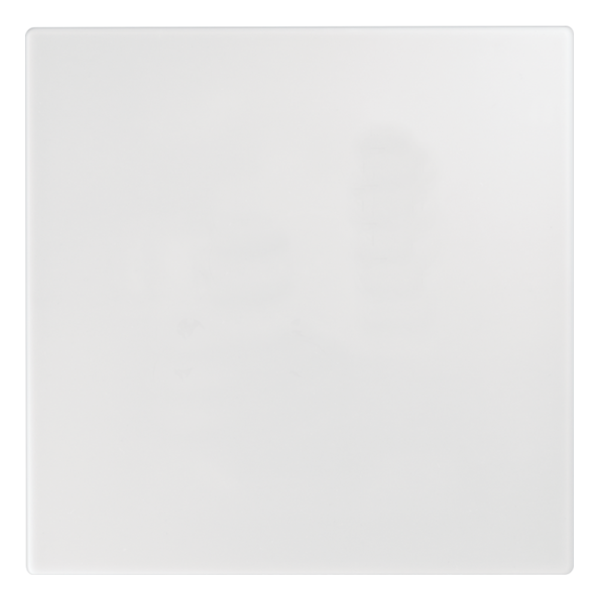 Topaz Blank Cover 4X4 White